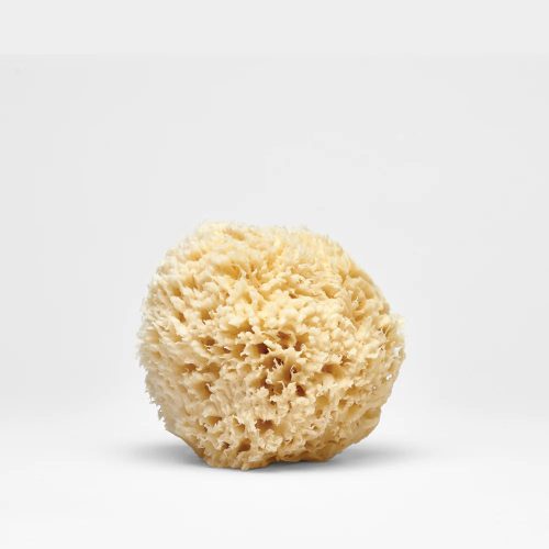 Natural Sea Wool Sponge Product Shot web 1 1080x 34e36ce2 8e8a 4cab bc1e 792360e4102c